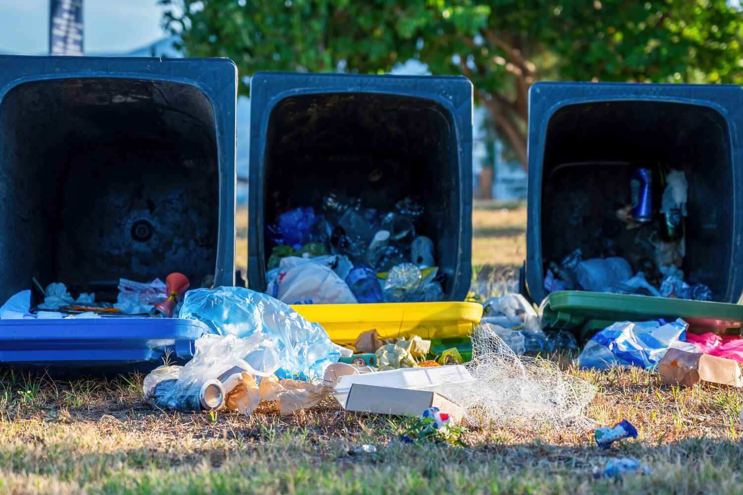 Best Office Junk Removal  in Troup, TX